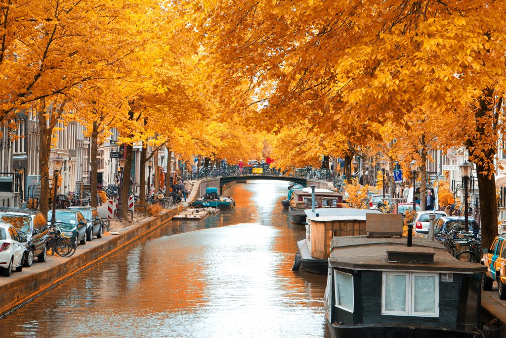 amsterdam walking tours